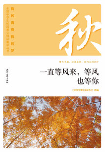 “我的青春我的夢”全國中學(xué)生校園美文精品集萃叢書:一直等風來,等風也等你