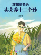 穿越变老头,卖菜养十二个孙在线阅读