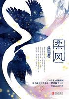 柔风在线阅读