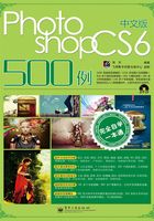 中文版Photoshop CS6 500例