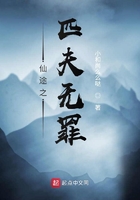 仙途之匹夫無罪在線閱讀