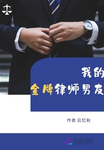 我的金牌律師男友