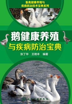 鹅健康养殖与疾病防治宝典 封面