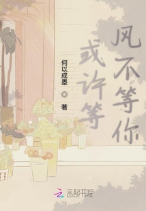 或许等风不等你
