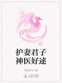 護妻君子神醫好逑