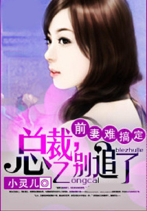 前妻難搞定：總裁，別追了