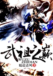 武祖之巅 cover