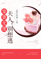 寵妻無度：夫人，別想逃在線閱讀