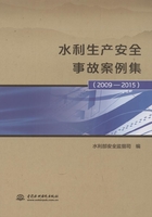 水利生产安全事故案例集（2009-2015）在线阅读