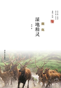 濕地精靈：麋鹿