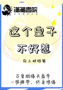 這個皇子不好惹