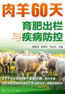肉羊60天育肥出欄與疾病防控