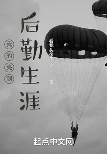 我的亮劍后勤生涯