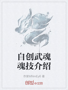 自创武魂魂技介绍在线阅读