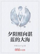 夕阳照向湛蓝的大海在线阅读