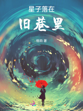 星子落在旧巷里在线阅读