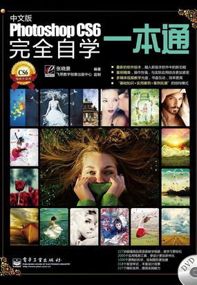 中文版Photoshop CS6完全自学一本通在线阅读