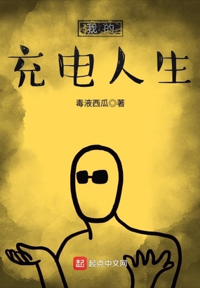 我的充电人生