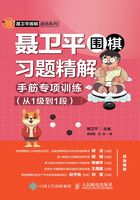 聂卫平围棋习题精解：手筋专项训练（从1级到1段）