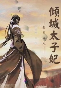 梨花殤之傾城太子妃