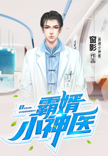 霸婿小神醫