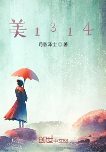 美1314