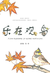 樂(lè)在觀鳥(niǎo)