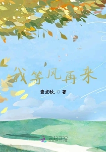 我等風再來