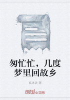 匆忙忙，幾度夢里回故鄉(xiāng)在線閱讀