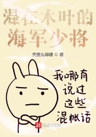 混在木叶的海军少将