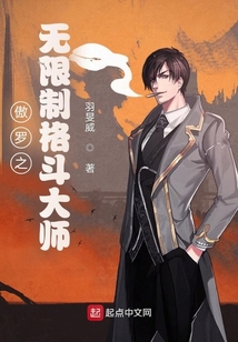 傲羅之無限制格斗大師
