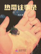 热带往事录在线阅读