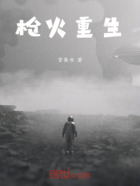 枪火重生在线阅读