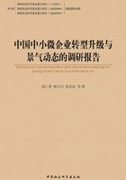 中国中小微企业转型升级与景气动态的调研报告在线阅读