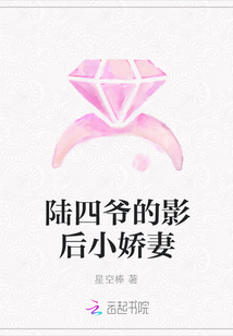 陆四爷的影后小娇妻