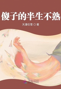 傻子的半生不熟