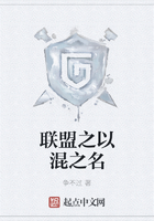 聯盟之以混之名在線閱讀