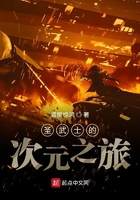 圣武士的次元之旅在線閱讀