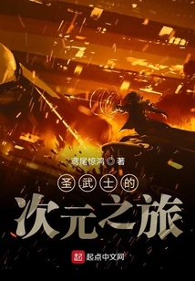 圣武士的次元之旅