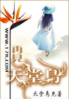 再见天堂鸟在线阅读