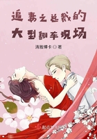 追妻之总裁的大型翻车现场