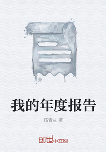 我的年度報(bào)告