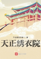 天正绣衣使在线阅读
