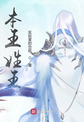 本王姓王在线阅读