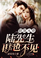 情深入骨：陸先生，再也不見在線閱讀
