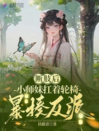 斷肢后，小師妹扛著輪椅暴揍反派在線閱讀