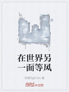 在世界另一面等風在線閱讀