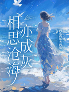 相思沧海亦成灰在线阅读