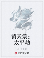 黄天箓:太平劫在线阅读