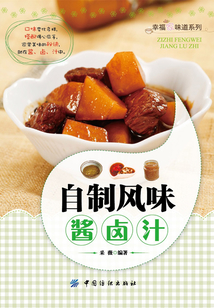 自制风味酱·卤·汁（幸福家味道系列）